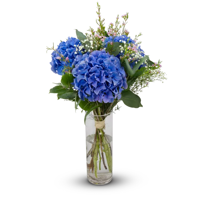 Bouquet of hydrangeas